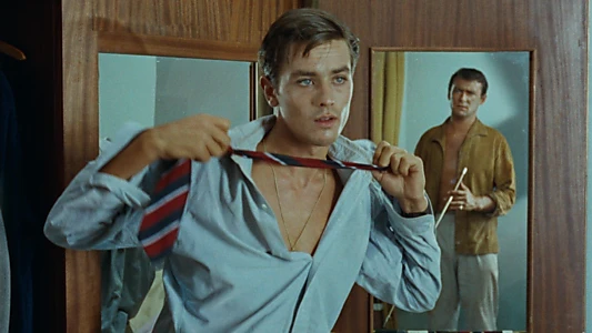 Purple Noon