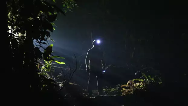 Watch The Dark: Nature's Nighttime World Trailer