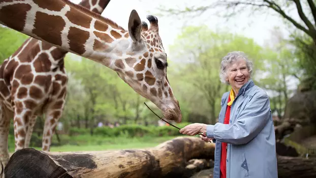 Watch The Woman Who Loves Giraffes Trailer