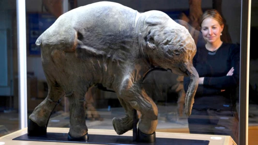 Watch Woolly Mammoth: Secrets from the Ice Trailer