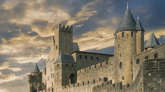L'Âge d'or des châteaux forts