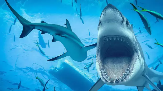 Watch Sharks: Monster of the Media Trailer