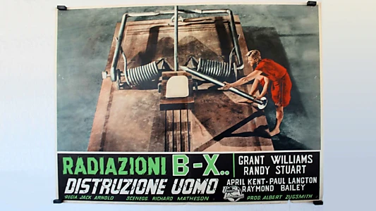 The Incredible Shrinking Man