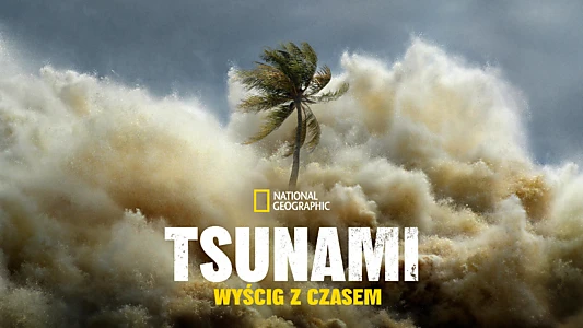 Tsunami: Race Against Time