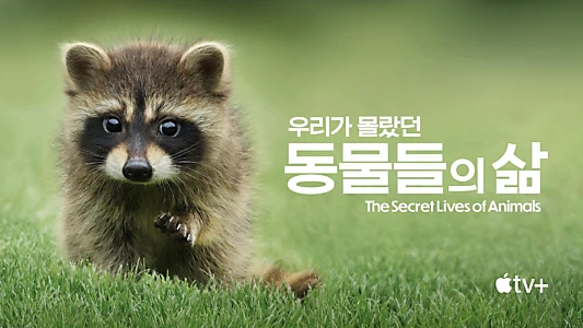 The Secret Lives of Animals