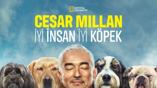 Cesar Millan: Better Human, Better Dog