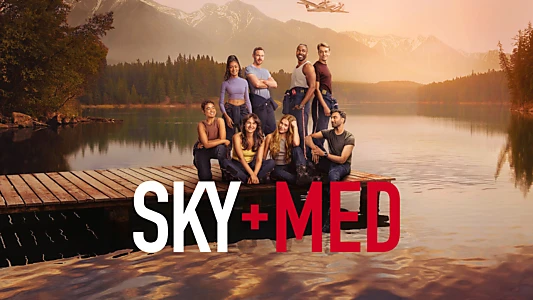 SkyMed