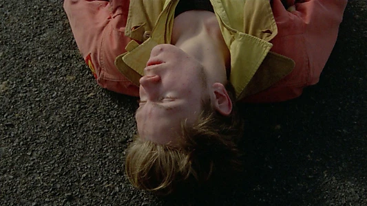 My Own Private Idaho