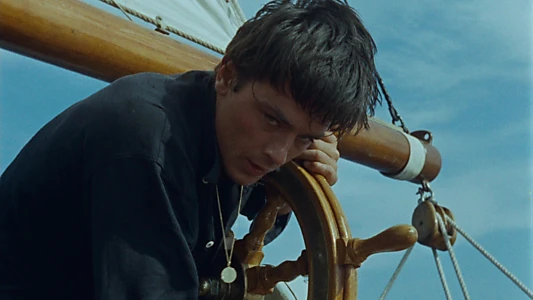 Purple Noon