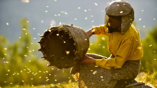 Watch Honeyland Trailer