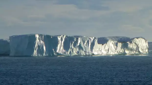 Watch Operation Iceberg Trailer