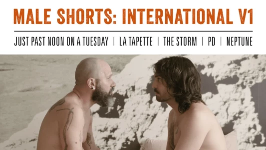 Male Shorts: International V1