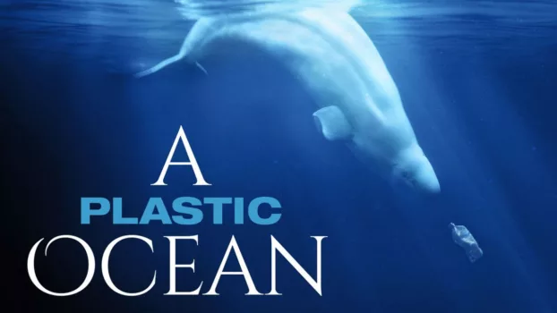 Watch A Plastic Ocean Trailer