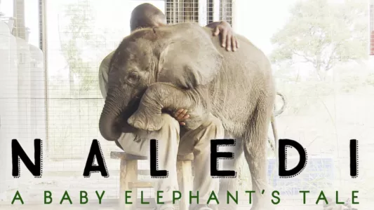 Watch Naledi: A Baby Elephant's Tale Trailer