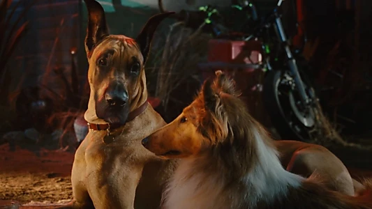 Marmaduke