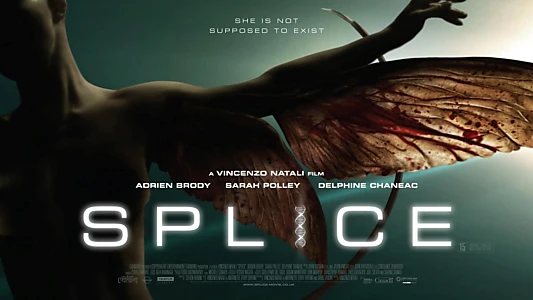 Splice