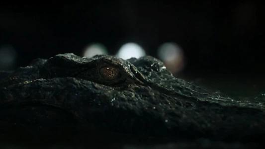 Crawl