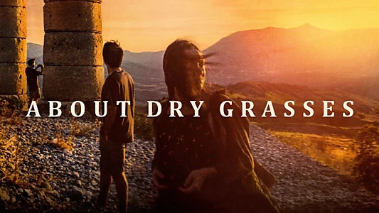 About Dry Grasses