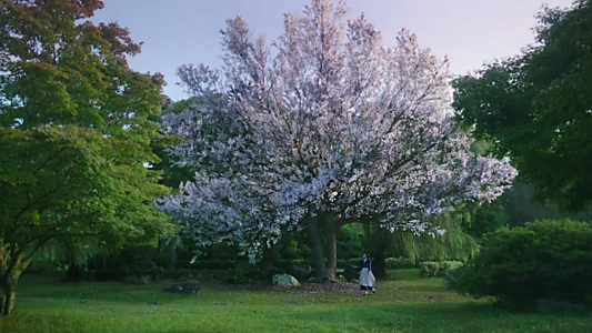 The Handmaiden