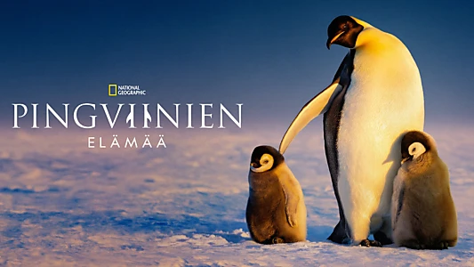 Secrets of the Penguins