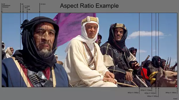 Watch The Changing Shape of Cinema: The History of Aspect Ratio Trailer