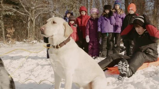 Watch A Dog for Christmas Trailer
