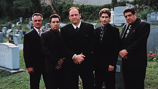 Wise Guy: David Chase and The Sopranos