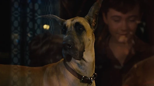 Marmaduke