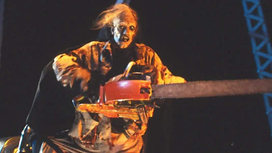 The Texas Chainsaw Massacre 2