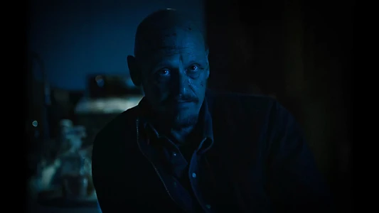 Mr Inbetween