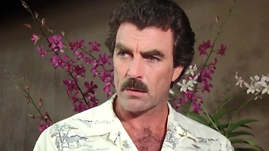 Magnum, P.I.