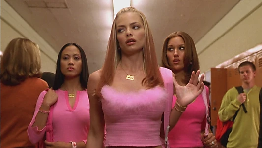 Not Another Teen Movie