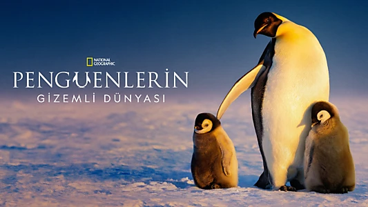 Secrets of the Penguins