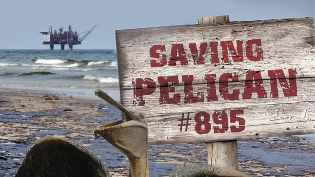 Saving Pelican 895