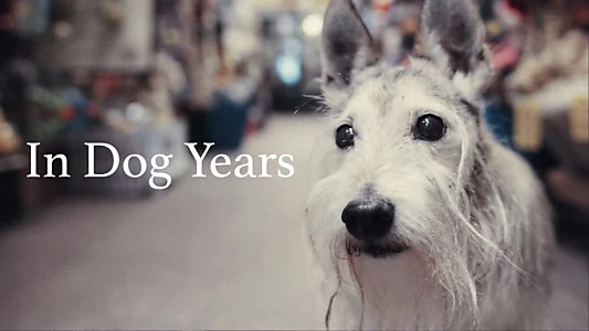 In Dog Years