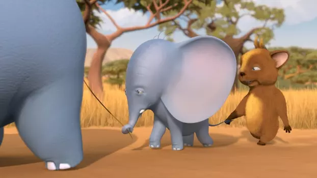 Nejmenší slon na světě