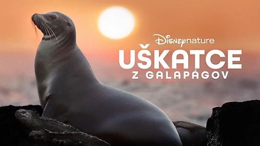 Sea Lions of the Galapagos