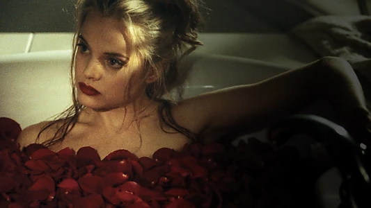 American Beauty