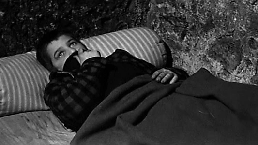 The 400 Blows