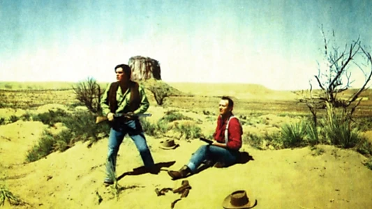 The Searchers