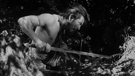 Rashomon