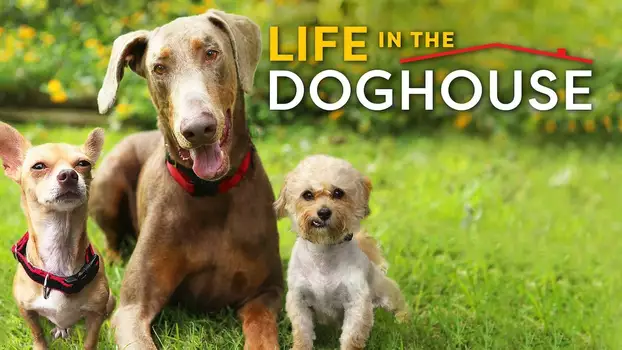 Watch Life in the Doghouse Trailer