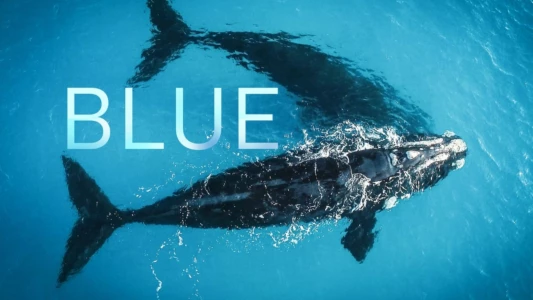 Watch Blue Trailer