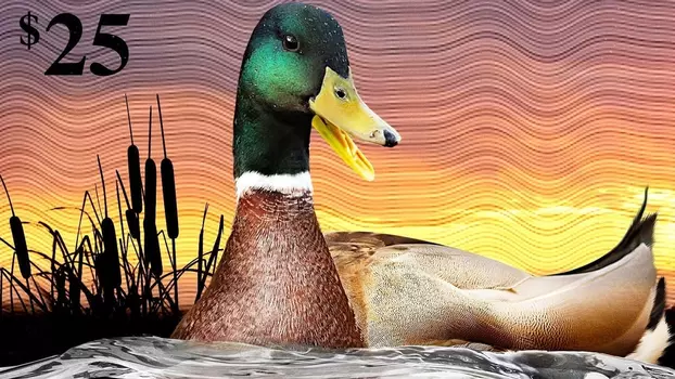 Watch The Million Dollar Duck Trailer
