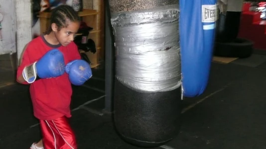 Watch Boxing Gym Trailer