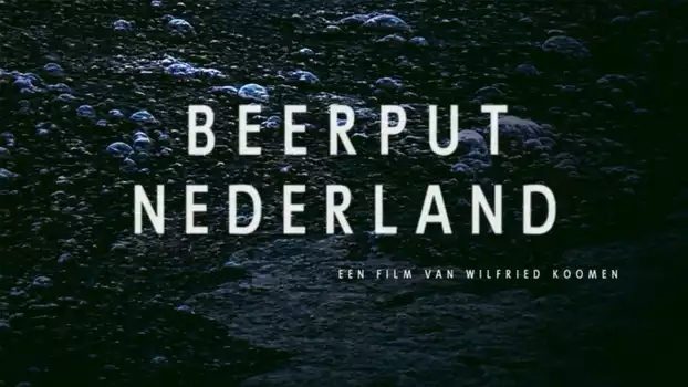 Beerput Nederland