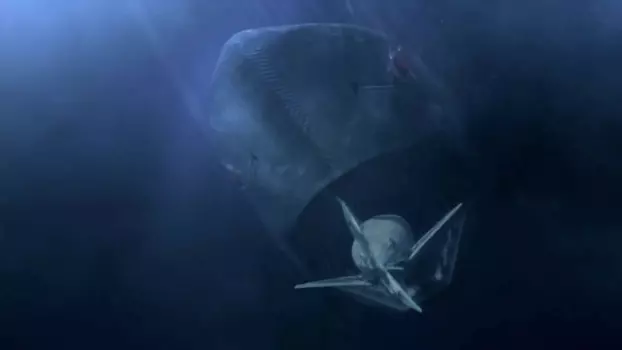 Watch Mega Shark vs. Mecha Shark Trailer