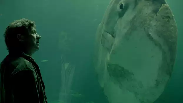 Watch The Sunfish Trailer
