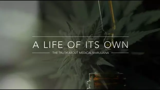 Watch A Life of Its Own: The Truth About Medical Marijuana Trailer