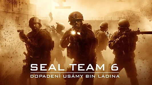 Seal Team Six: The Raid on Osama Bin Laden